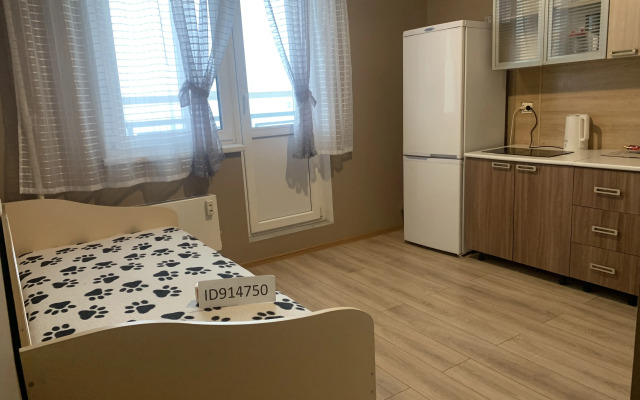 Квартира на Преображенской 13