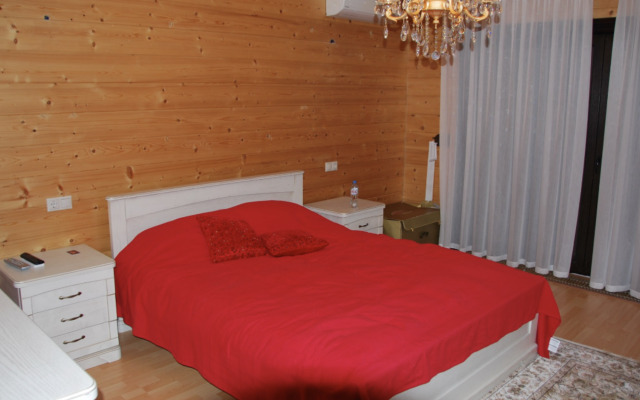 Elena Villa