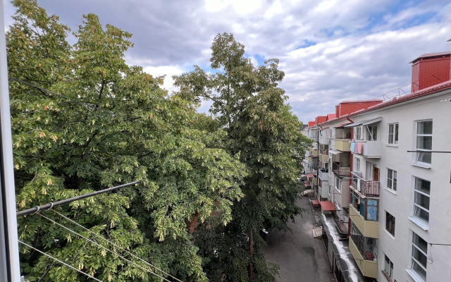 Na Prospekte Lenina Flat
