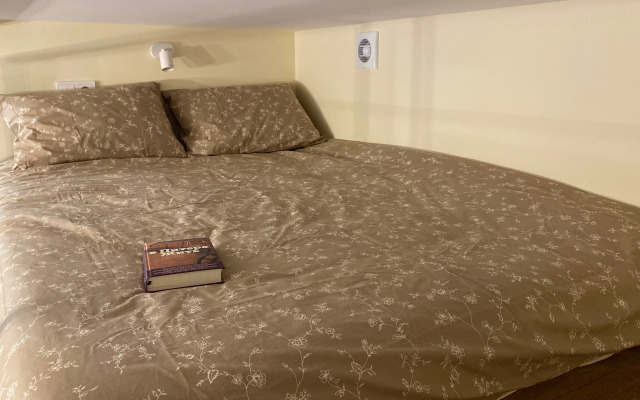 Квартира Уютная двухуровневая студия на Петроградке