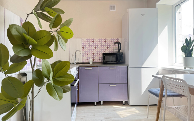 Квартира Однокомнатная между Двух Мостов