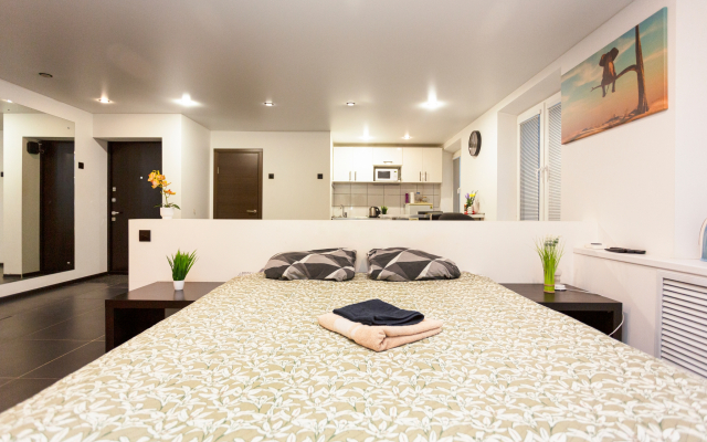 Апартаменты дизайнерского вида