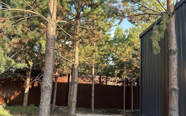 Частный дом Добрый дом в соснах