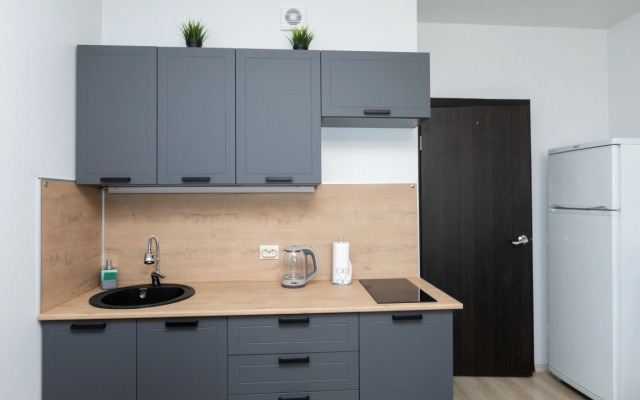4-h mestnye apartamenty Etazhidejli UrFU