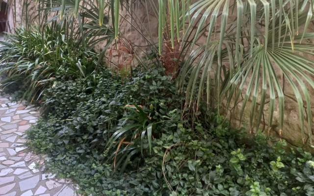 Domik U Morya Guest house