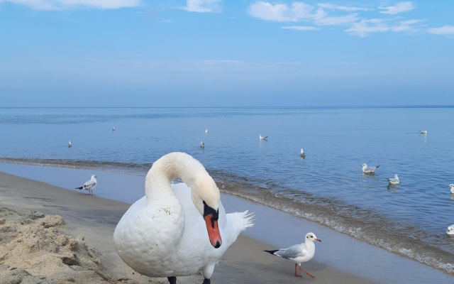 Na Poberezhye U Ozera Ryadom S Morem Apartments