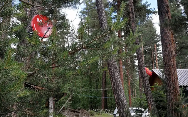 Шале Лес хрустальной песни 1