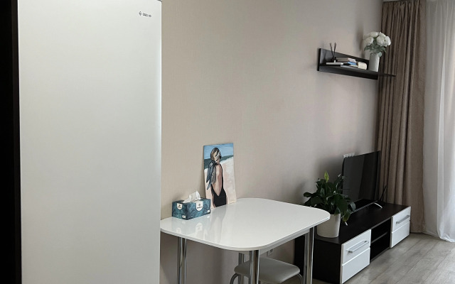 Uyutnaya Studiya Flat
