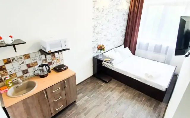 Апартаменты Советская 36 Студия