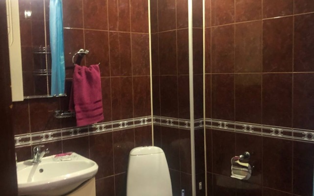 2 Komnatnye Apartamenty V Tsentre Flat