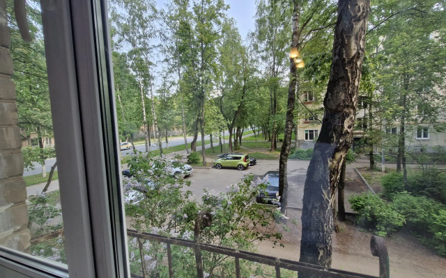 Komfortnaya V Tsentre Pushkino Na Moskovskom Flat