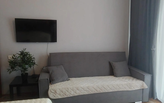 Квартира однокомнатная на Гребенщикова 5/1