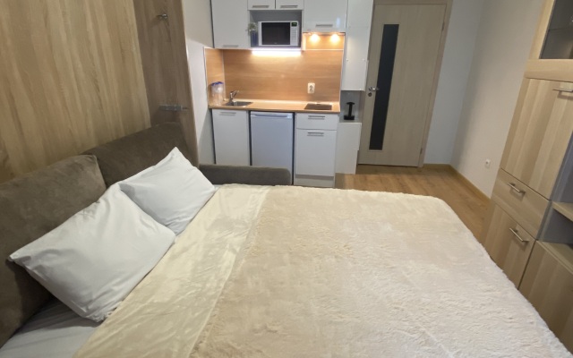 Апартаменты Cruise 17 floor