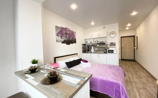 Апартаменты в центре города Барнаула