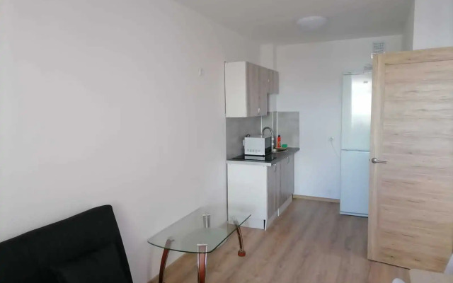 Dreamhouse Na Sputnikov Apartments