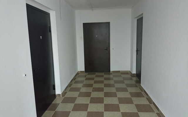 1k na Pustoshkina 22 (64) Flat
