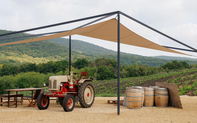 Глэмпинг Винный Форт