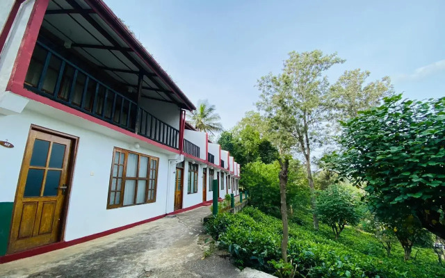 Курортный отель The Tea Tree Resort