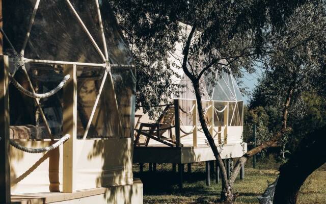 Глэмпинг Поляна