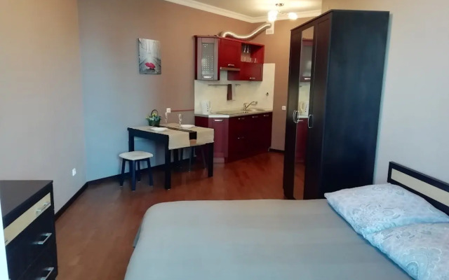 Квартира Уютная Студия у Метро Академическая