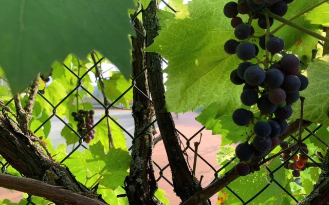 Гостевой дом Эколофт