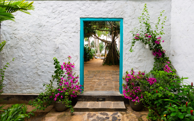 Taru Villas-906