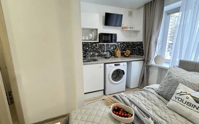 Апартаменты 1 Yousinn Зыряновская