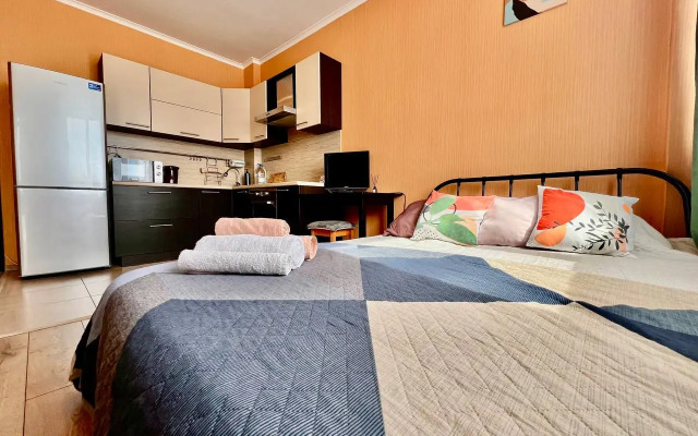 Tsentr Studiya Voyage Komfort Apartments