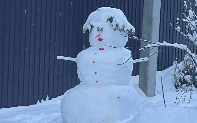 Частный дом Сфера в Лесу