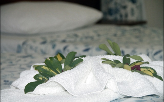 Palme Royal Hotel