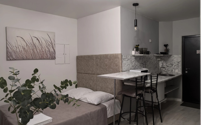 Апартаменты Студия 1