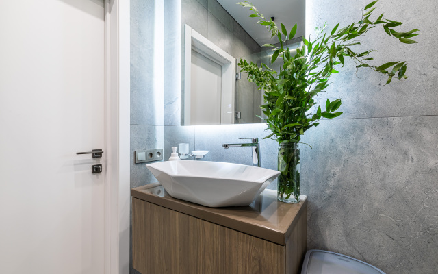 Апартаменты LS Savin House