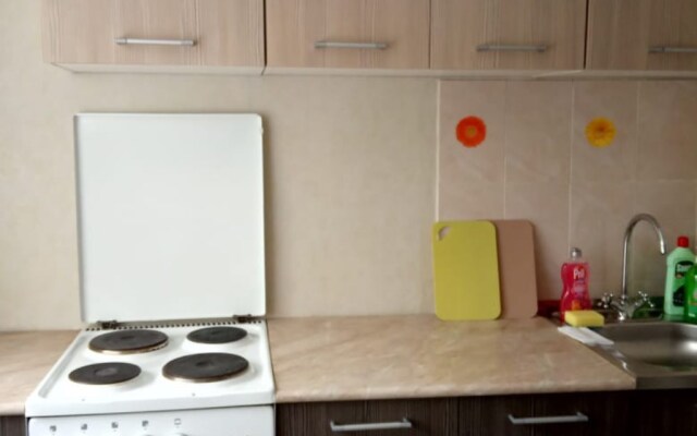 Апартаменты на Немировича-Данченко 163