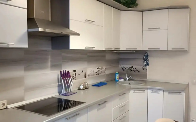 Uyutnaya Odnokomnatnaya s Balkonom Flat