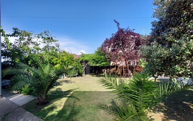 Kemal Private House