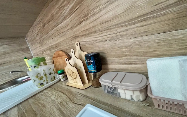 Uyutnaya I Bolshaya Kvartira-Studiya Flat