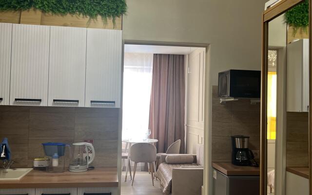 Krasiveyshaya studiya v tsentre Ufy Flat