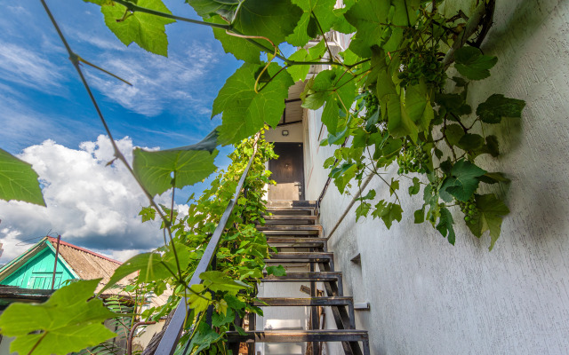 Квартира на Чкалова 15