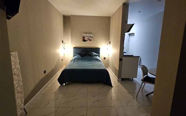 Апартаменты Светлая студия на Полковника Фесюна