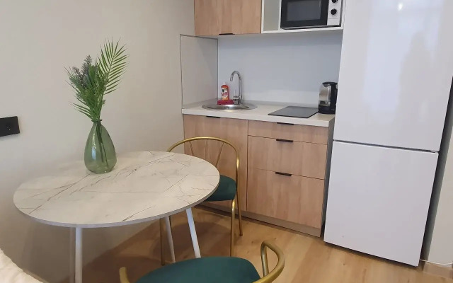 Квартира на Мичурина 58к2