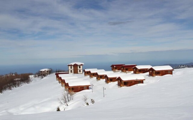 Flora Handüzü Resort & Wellness Bungalow Hotel