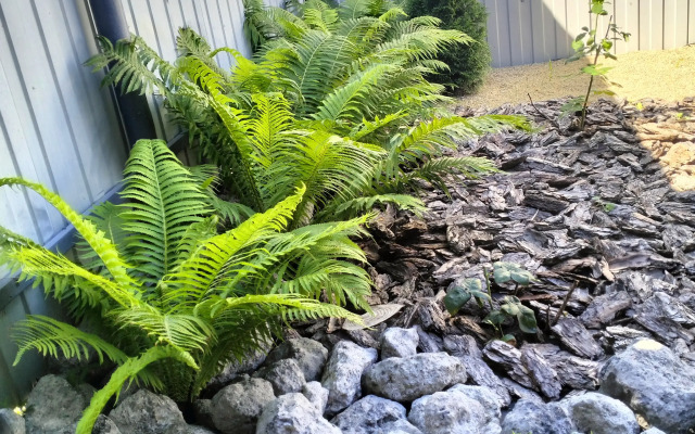 Гостевой дом Гостевой домик