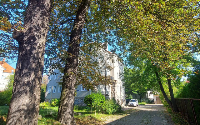 Belka Flat