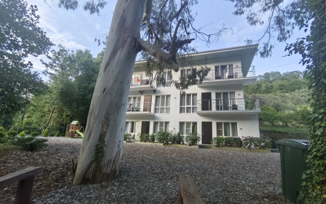 Villa Monte Apartments