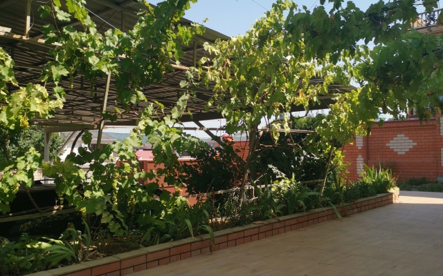 Yakor Guest House