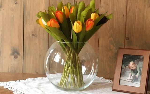 Эко-дача Hidden Plyos