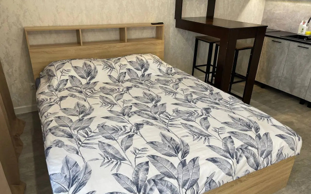 Studiya s Shikarnym Vidom Apartments