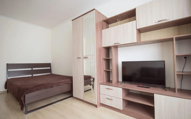 Квартира 1-комнатная у Алмазова и м. Пионерская