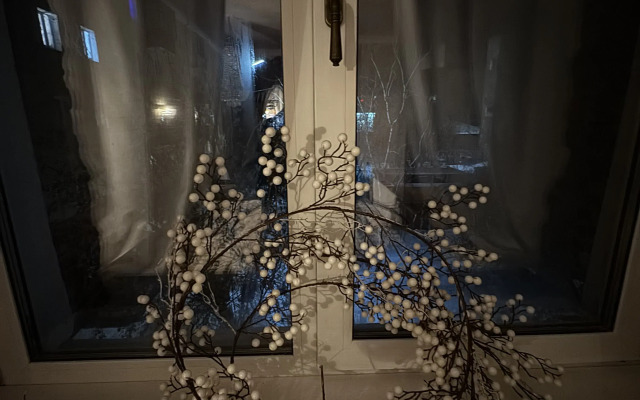 Апартаменты Адмирала Колчака в Историческом Центре Иркутска