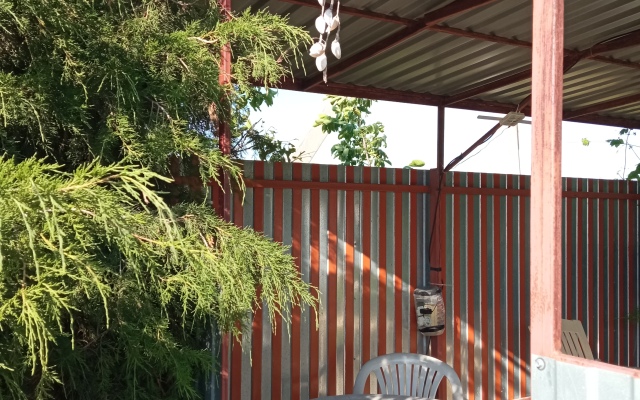 Azaliya Guest House